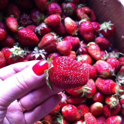 Лот: 7830757. Фото: 1. Виктория с дачи Пугачево. Не крупная... Ягоды, орехи