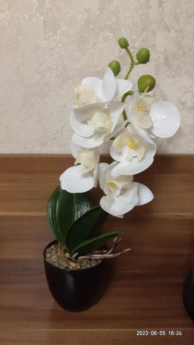 Лот: 20508315. Фото: 1. Орхидея искусственная. Искусственные и сувенирные цветы