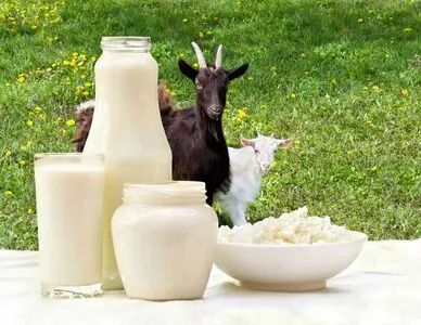 Лот: 20994123. Фото: 1. Козье молоко. Молоко и молочные продукты