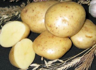 Лот: 6136352. Фото: 1. продам картофель(деревенский,цена... Картофель