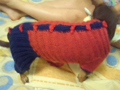 Лот: 2088434. Фото: 1. Вязанный комбинезон. Ошейники, одежда, конное снаряжение