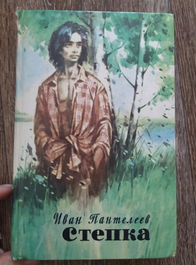 Лот: 19418588. Фото: 1. книга Степка, Иван Пантелеев... Книги для родителей