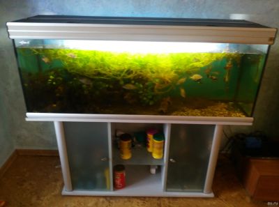 Лот: 12810072. Фото: 1. Аквариум Акватлантис 400 литров. Аквариумы, террариумы