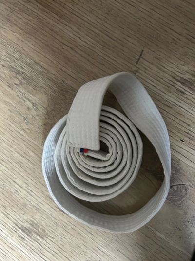 Лот: 25885810. Фото: 1. Пояс белый спортивный для единоборств. Другое (спортивные товары)