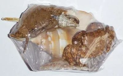 Лот: 536991. Фото: 1. Два краба на ламбисе. Ракушки... Другое (сувениры, подарки)