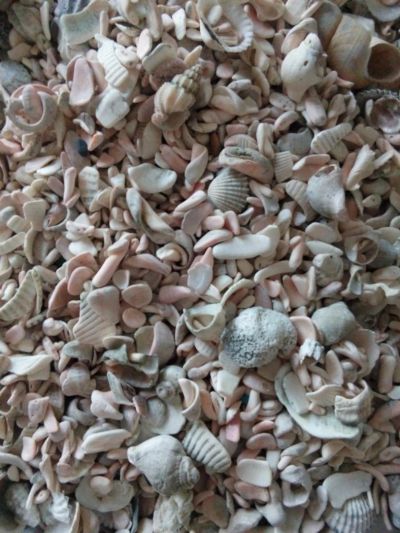 Лот: 8226762. Фото: 1. Ракушечник в аквариум. Грунты, украшения, наполнения