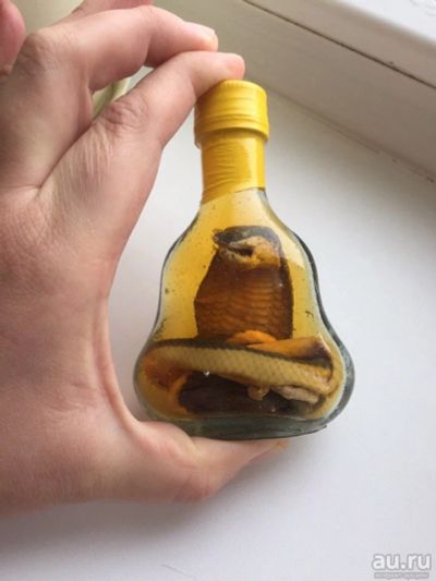 Лот: 13129399. Фото: 1. Еще одна змея в бутылке Вьетнам... Сувенирные мелочи