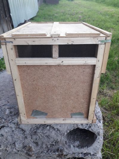 Лот: 19231562. Фото: 1. Ящик под пчелопакеты. Пчеловодство