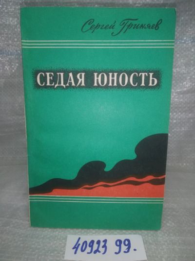 Лот: 25899507. Фото: 1. OzЮ/ВбР(4092399)Седая юность... Мемуары, биографии