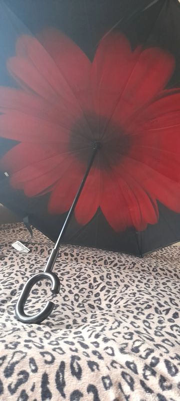 Лот: 20731180. Фото: 1. Зонт трость. Зонты