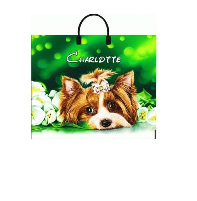 Лот: 25930960. Фото: 1. Пакет "Шарлотта" 38х35см, пластиковая... Пакеты, мешки