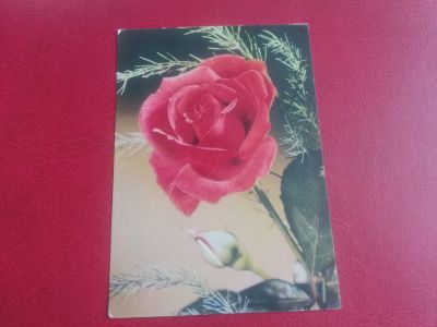 Лот: 20043746. Фото: 1. открытка ГДР, флора роза. Открытки, конверты