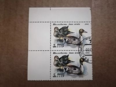 Лот: 25899964. Фото: 1. Фауна. Утки 1991 г. СССР Сцепка. Марки