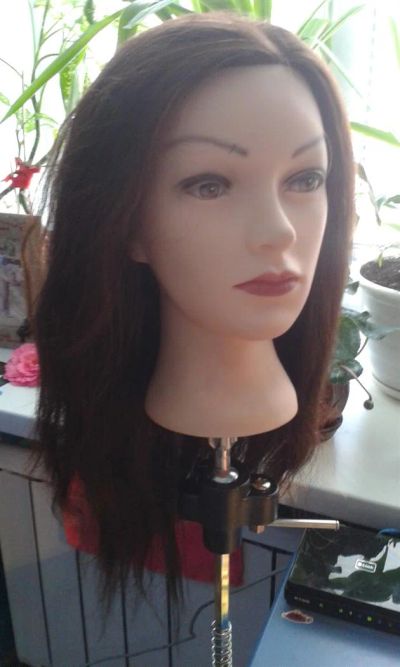 Лот: 3930797. Фото: 1. Учебная голова (тренировочный... Другое (красота и здоровье)