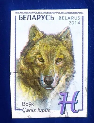 Лот: 20741349. Фото: 1. Марки низкий старт №334. Марки