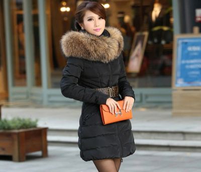 Лот: 3197069. Фото: 1. пуховик женский 1-1 ( цена низкая... Верхняя одежда