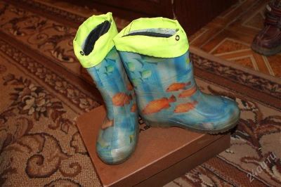Лот: 2223157. Фото: 1. Сапоги резиновые 3-5 лет. Сапоги