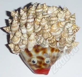 Лот: 537146. Фото: 1. Ёжик из ципреи тигрис. Ракушки... Другое (сувениры, подарки)