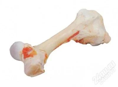 Лот: 1836163. Фото: 1. мозговая кость ( говяжья ) мясо. Мясо, птица, яйцо