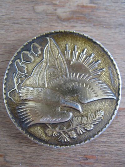 Лот: 15916782. Фото: 1. Значок Птица. Жар-птица. Огромный... Сувенирные