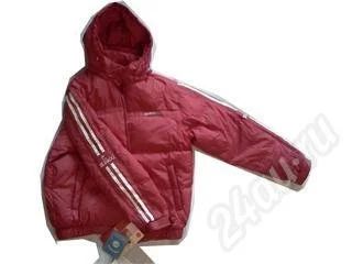 Лот: 564890. Фото: 1. Спортивный костюм на пуху. Женский... Верхняя одежда