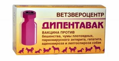 Лот: 25378145. Фото: 1. Дипентавак, вакцина для собак... Лекарства для животных, ветеринарные препараты