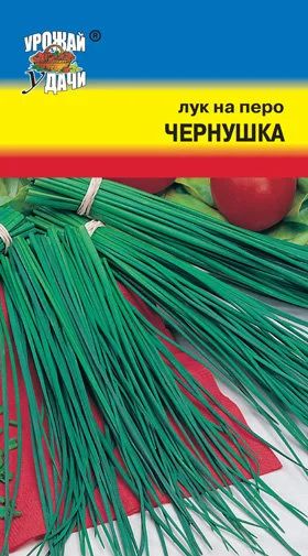 Лот: 11018088. Фото: 1. Семена лука-слизуна "Лидер" -... Овощи