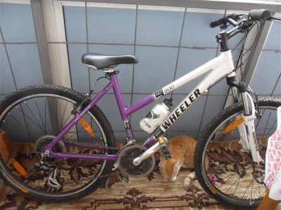 Лот: 1109323. Фото: 1. Wheeler pro 800 Lady. Велосипеды