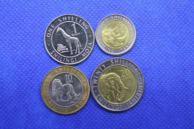 Лот: 19296727. Фото: 1. Кения 2018 г Набор 4 монеты Фауна. Африка
