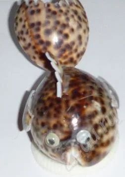 Лот: 536729. Фото: 1. Рыбка из ципреи тигрис. Ракушки... Другое (сувениры, подарки)