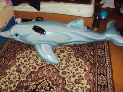 Лот: 5081038. Фото: 1. Дельфин надувной. Красноярск