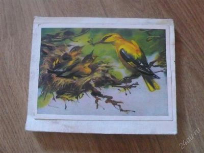 Лот: 1105106. Фото: 1. книга мир птиц. Домашние животные