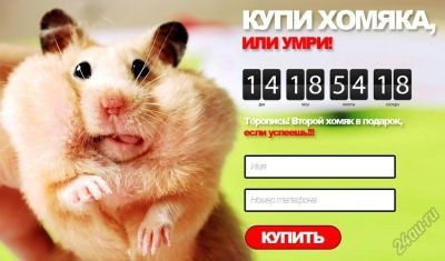 Лот: 5911818. Фото: 1. Продающий сайт за 1900 рублей... IT-услуги (сайты, 1C, IT аутсорсинг)