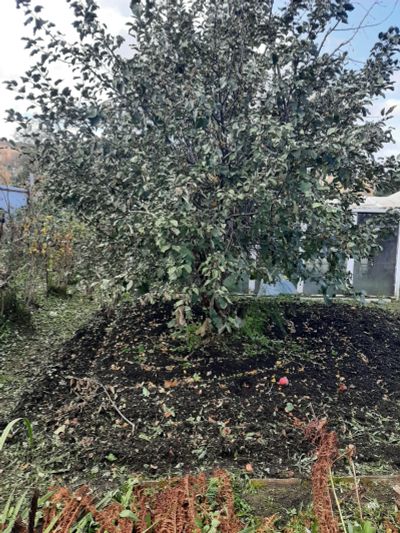 Лот: 25889649. Фото: 1. участок. Земельные участки