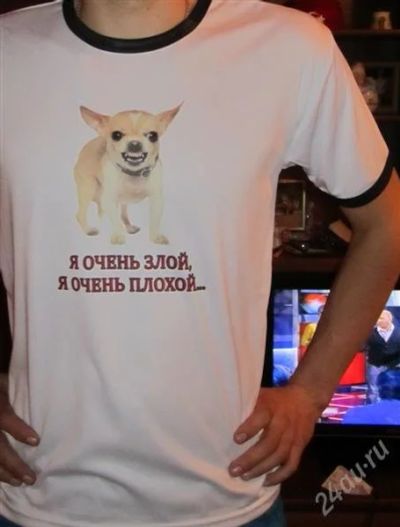 Лот: 2168727. Фото: 1. Футболка с приколом. Футболки, поло