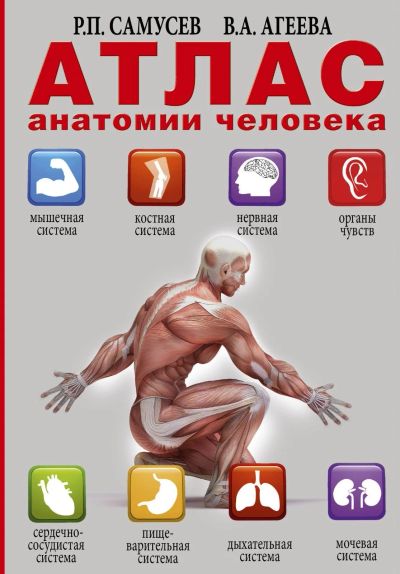 Лот: 15486960. Фото: 1. Самусев, Агеева "Атлас анатомии... Традиционная медицина