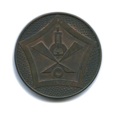 Лот: 11576662. Фото: 1. СССР 1977 Медаль 10 лет со дня... Юбилейные