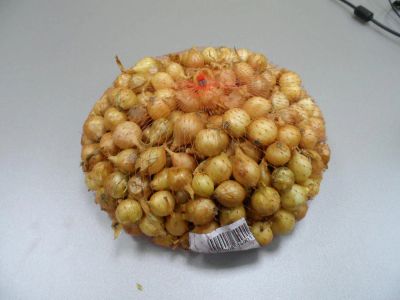 Лот: 5309150. Фото: 1. Лук севок Штуттгартен Ризен 115руб... Другое (семена, рассада, садовые растения)