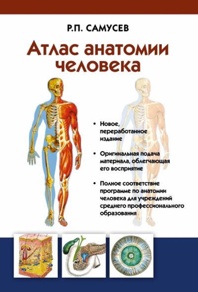 Лот: 15111386. Фото: 1. Р.П.Самусев "Атлас анатомии человека... Традиционная медицина