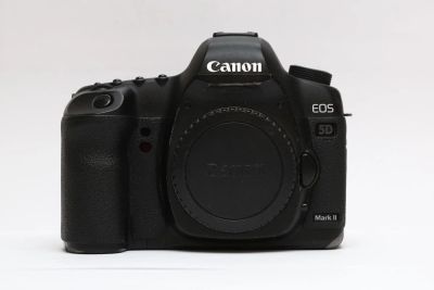 Лот: 10081708. Фото: 1. Полный Новогодний кадр Canon EOS... Цифровые зеркальные