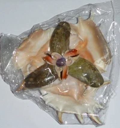 Лот: 537161. Фото: 1. Пепельница из ламбиса3. Ракушки... Другое (сувениры, подарки)