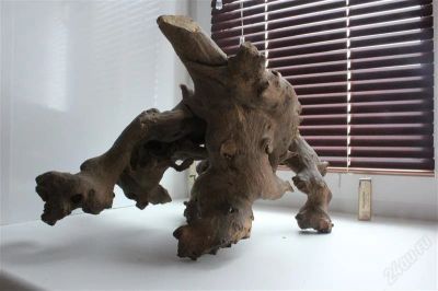 Лот: 2117306. Фото: 1. Коряга. Пентхаус рыбий!. Грунты, украшения, наполнения