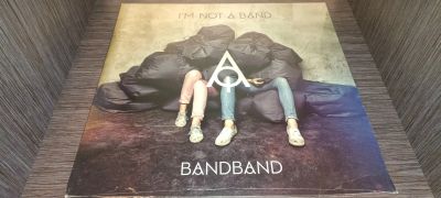 Лот: 25907414. Фото: 1. Виниловая пластинка I'm Not A... Аудиозаписи