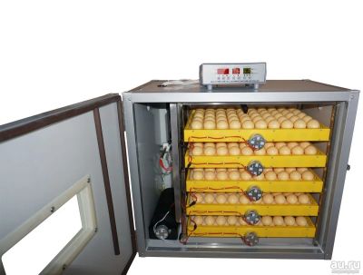 Лот: 17652105. Фото: 1. Инкубатор на 300 яиц автоматический... Инкубаторы
