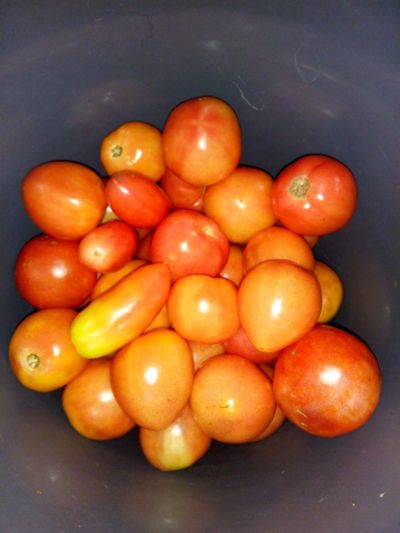 Лот: 16436576. Фото: 1. Помидоры домашние 3 кг. Овощи, фрукты, зелень