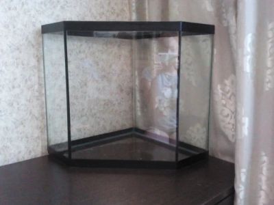 Лот: 4145083. Фото: 1. Аквариум с рыбками+фильтр+все... Аквариумы, террариумы