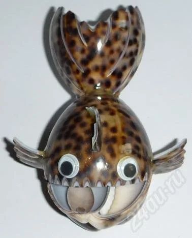 Лот: 536926. Фото: 1. Рыбка из ципреи тигрис2. Ракушки... Другое (сувениры, подарки)