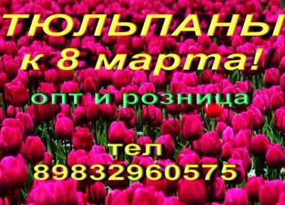 Лот: 2572790. Фото: 1. Тюльпаны оптом к 8 марта! Принимаем... Подарки на 8 марта