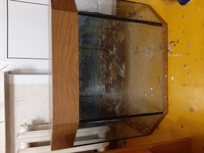 Лот: 14573524. Фото: 1. Аквариум с крышкой на 150 л. Аквариумы, террариумы