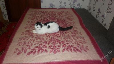 Лот: 2291057. Фото: 1. покрывало теплое двух сторонее... Одеяла, подушки